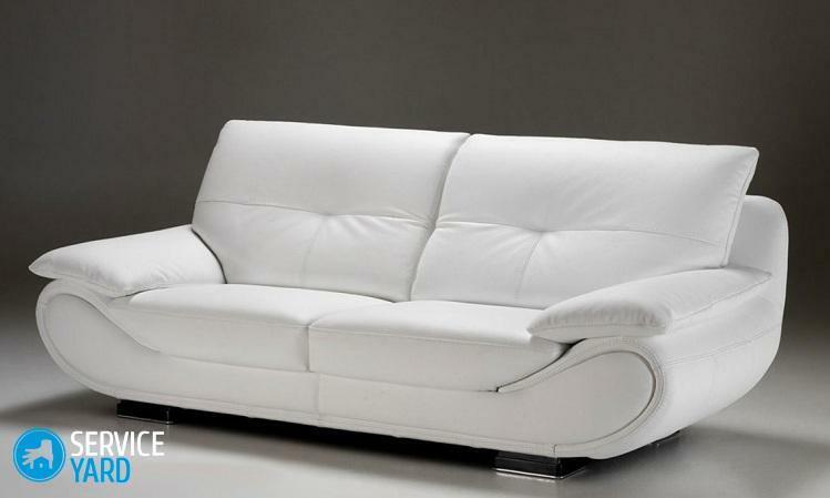 How to clean a white sofa from kozhzama at home?