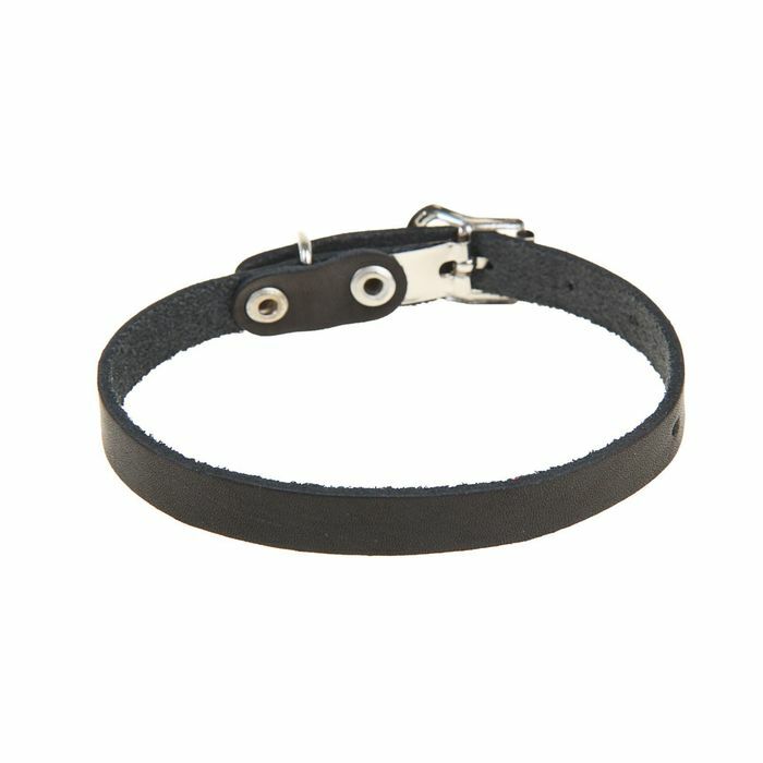 Single-layer leather collar, 30 х 1 cm, black