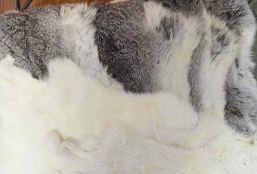 How to clean rabbit fur at home: practical tips