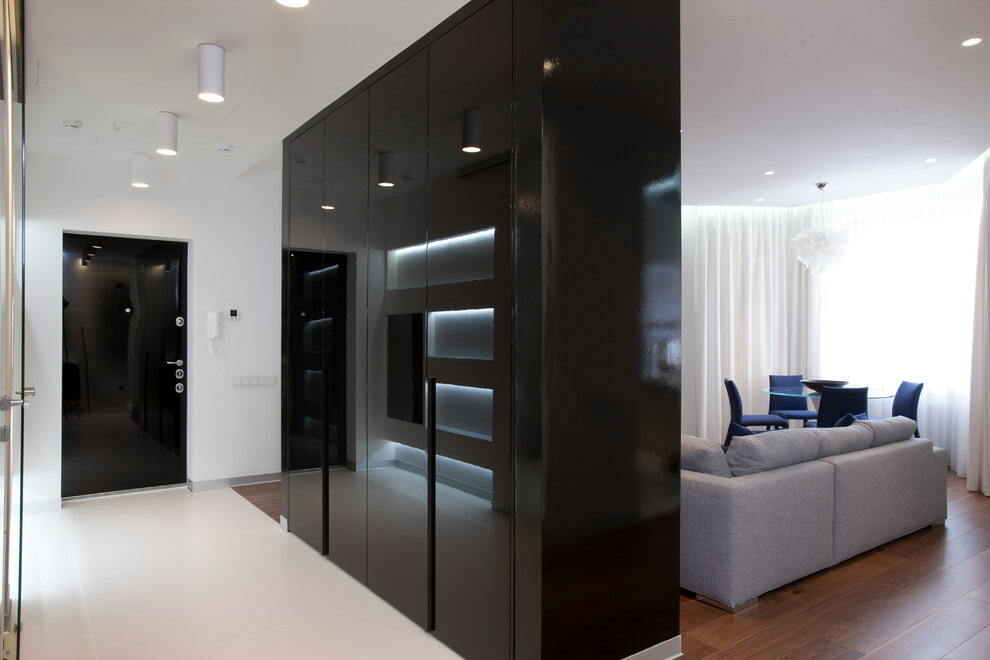 Black wardrobe in the hall of modern style