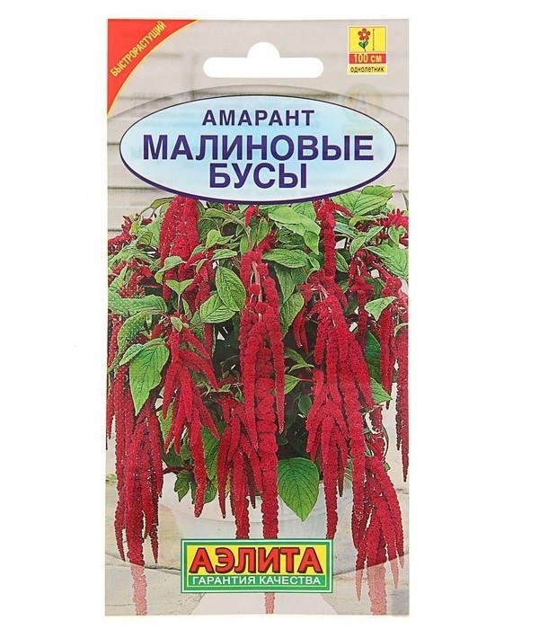 זרעים חרוזי פטל זנב Amaranth, 0.2 גרם AELITA