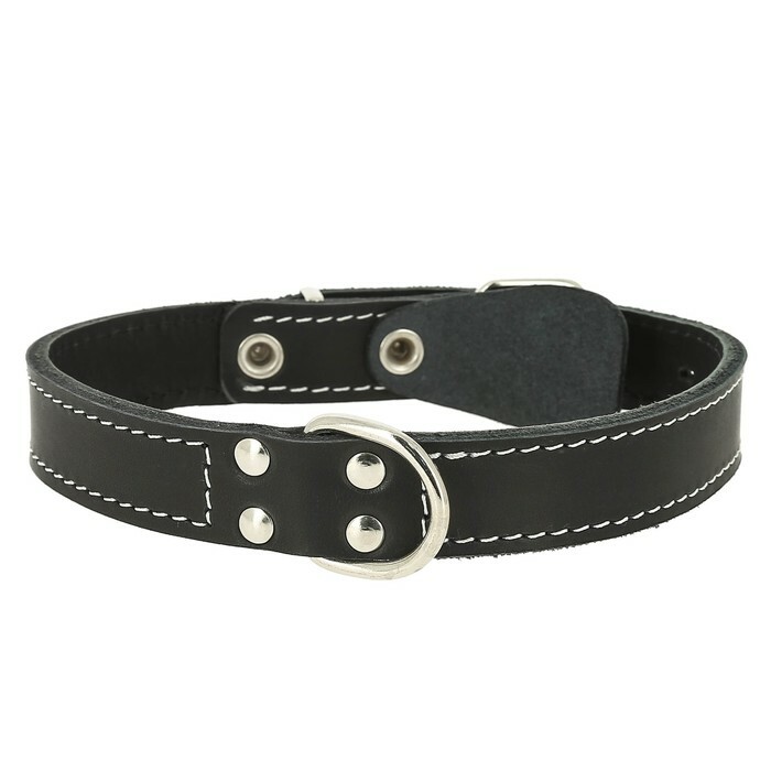 Leather collar, with a ring in the middle, ОШ 24-28 х 1.2 cm, mix of colors