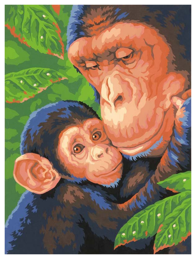Slika po broju DIMENZIJE Šimpanza s djetetom DMS-73-91470 23x30,5 cm