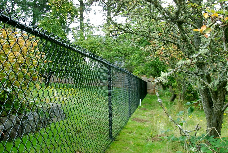 Una recinzione in rete metallica durerà per molti anni