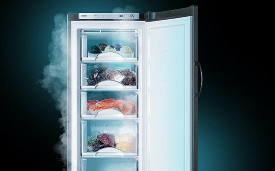 Istruzioni per l'uso del frigorifero a due scomparti " Atlant"