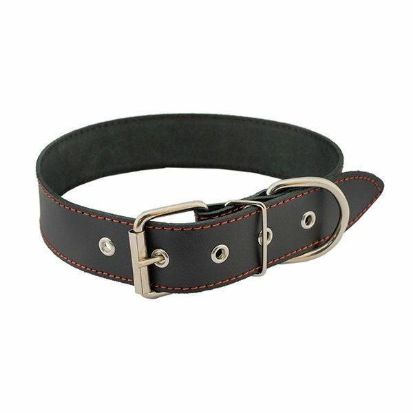 Homepet leather simple stitched collar for dogs (28-38cm, Black)