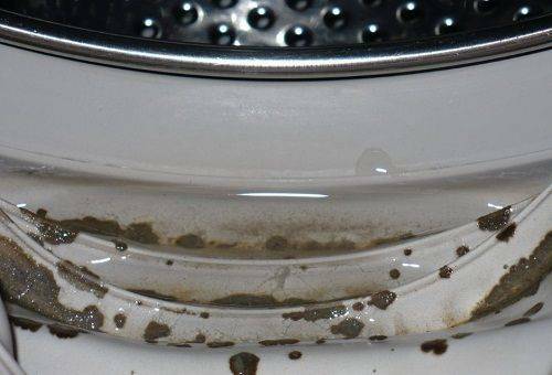 Formy v práčke: ako sa zbaviť známok huby a nepríjemného zápachu doma