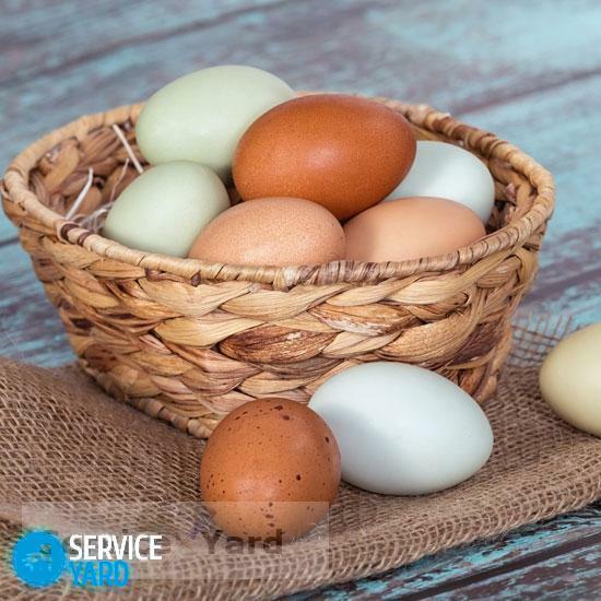 Can I store washed eggs in the refrigerator?