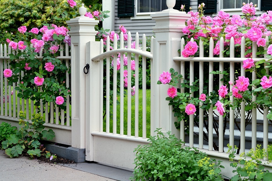 dekoratif çit fikirleri photo