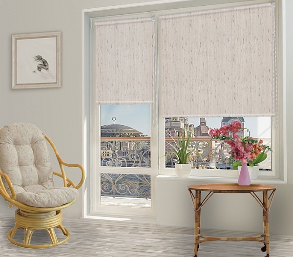Varieties blinds with guides for plastic windows