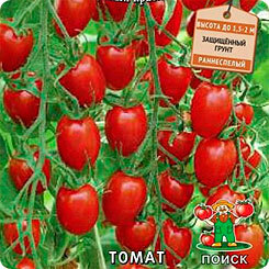 Frön Tomat Sweet Fountain F1, 10 st, Sök
