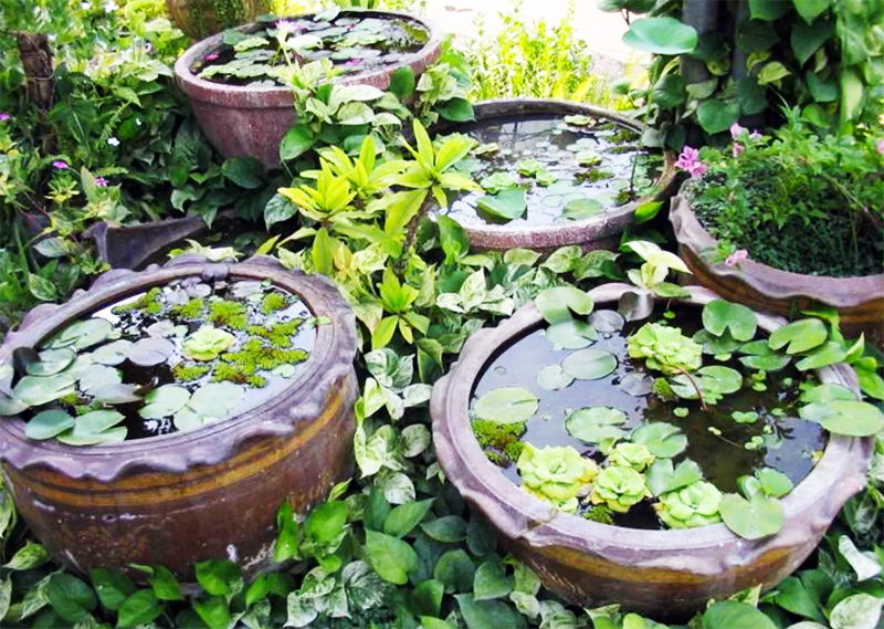 Vous obtiendrez de tels mini-étangs dans lesquels vous pourrez prendre de l'eau pour l'irrigation