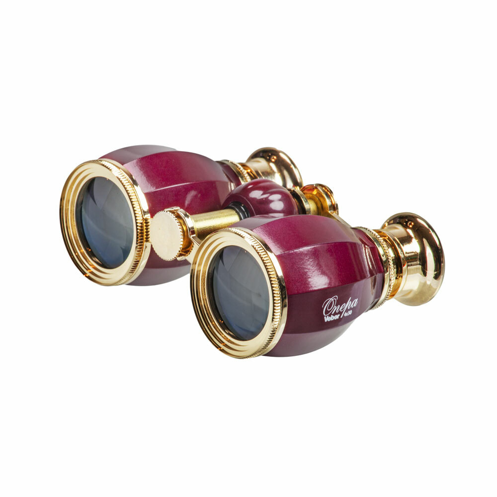 Gold binoculars: prices from $ 20