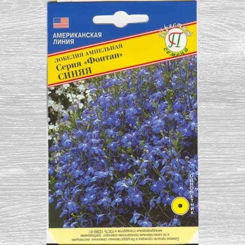 Lobelia ampelous Fontein blauw