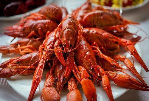 How to clean crayfish before cooking and eating
