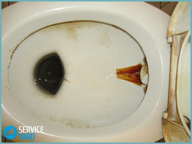 Do que lavar a ferrugem em um vaso sanitário em condições de casa?