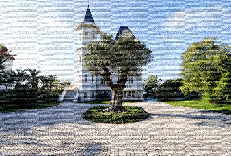 Franse villa van Poetins dochter: dochter, president, locatie, kust, reconstructie, gevel, landschap