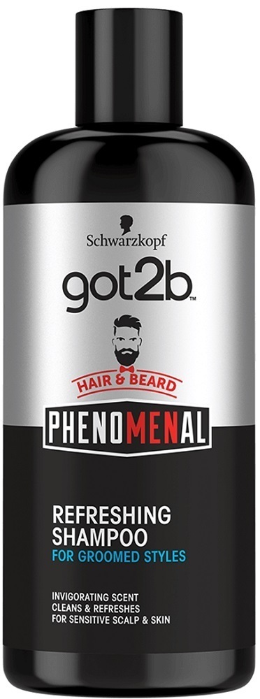 Hair & Beard Shampoo got2b \