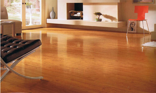 Which laminate floor is better to choose what floorboards do not creak