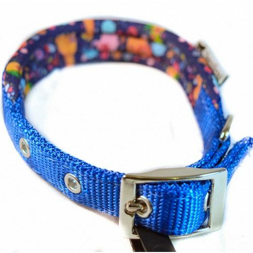 Collar for dogs FERPLAST Daytona Fantasy C20 / 43 blue, nylon