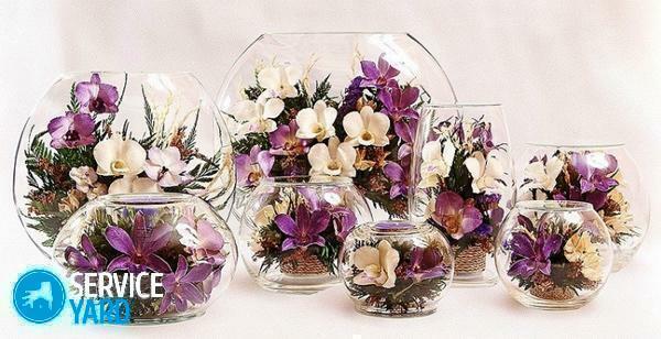 Live flowers in the glass with their own hands