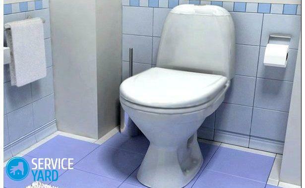 How to choose a toilet?