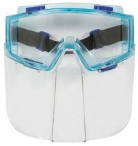 Panoramic glasses with face shield