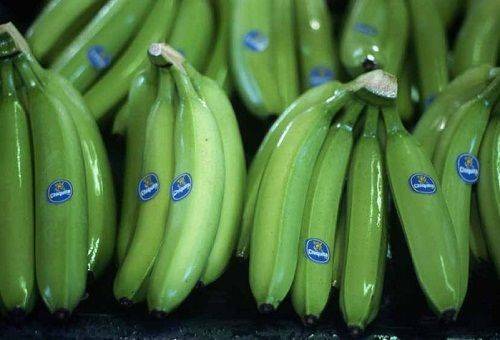 How to store bananas at home so that they do not blacken too quickly?