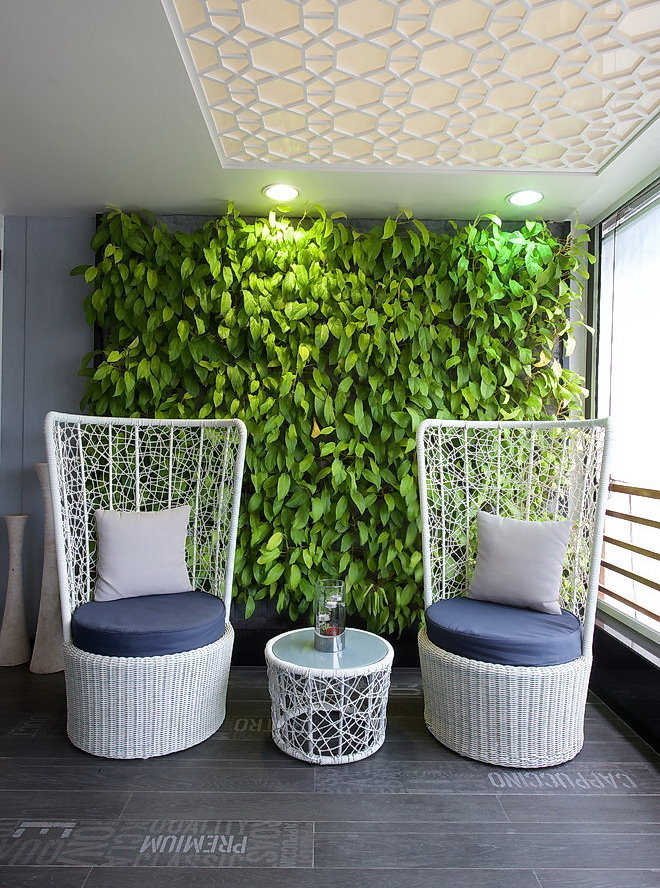 Vertical garden on the wall in the sitting area of ​​the living room