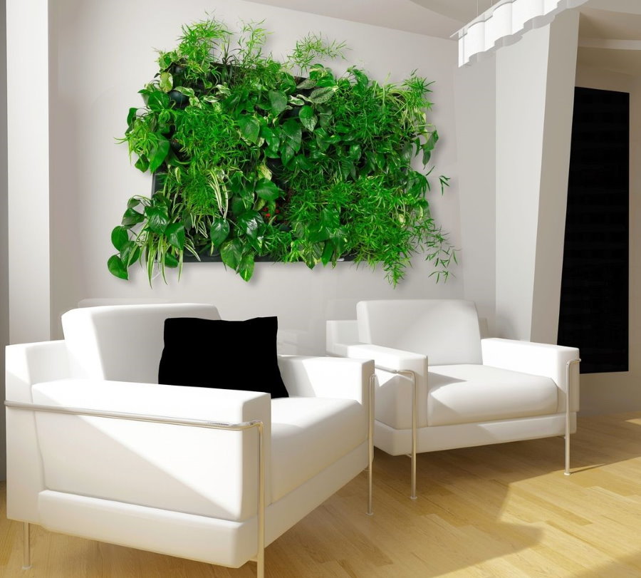 Panel of green plants behind white armchairs in the living room