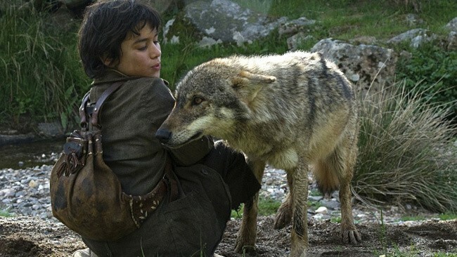 Saraksts visvairāk aizraujošu filmu par vilkiem