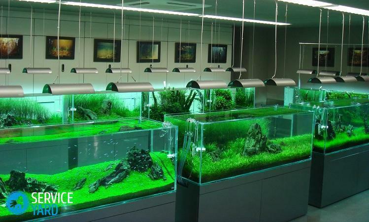 The aquarium with its own hands made of glass