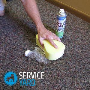 How to clean the carpet at home from the smell of urine?