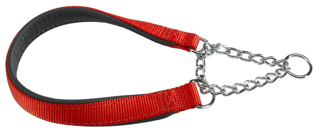Köpekler için tasma Ferplast DAYTONA CSS 65 cm x 2.5 cm kırmızı