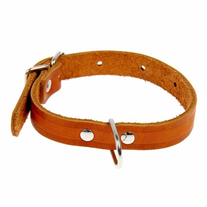 One-layer leather collar dimensionless, 32 х 1.6 cm mix of colors