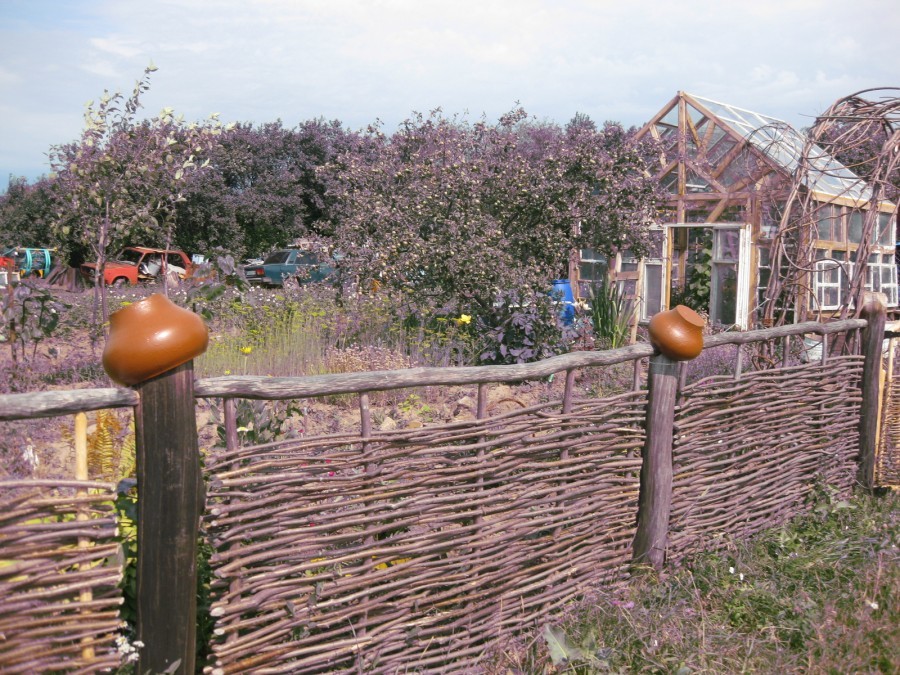Willow fence at the border country sites