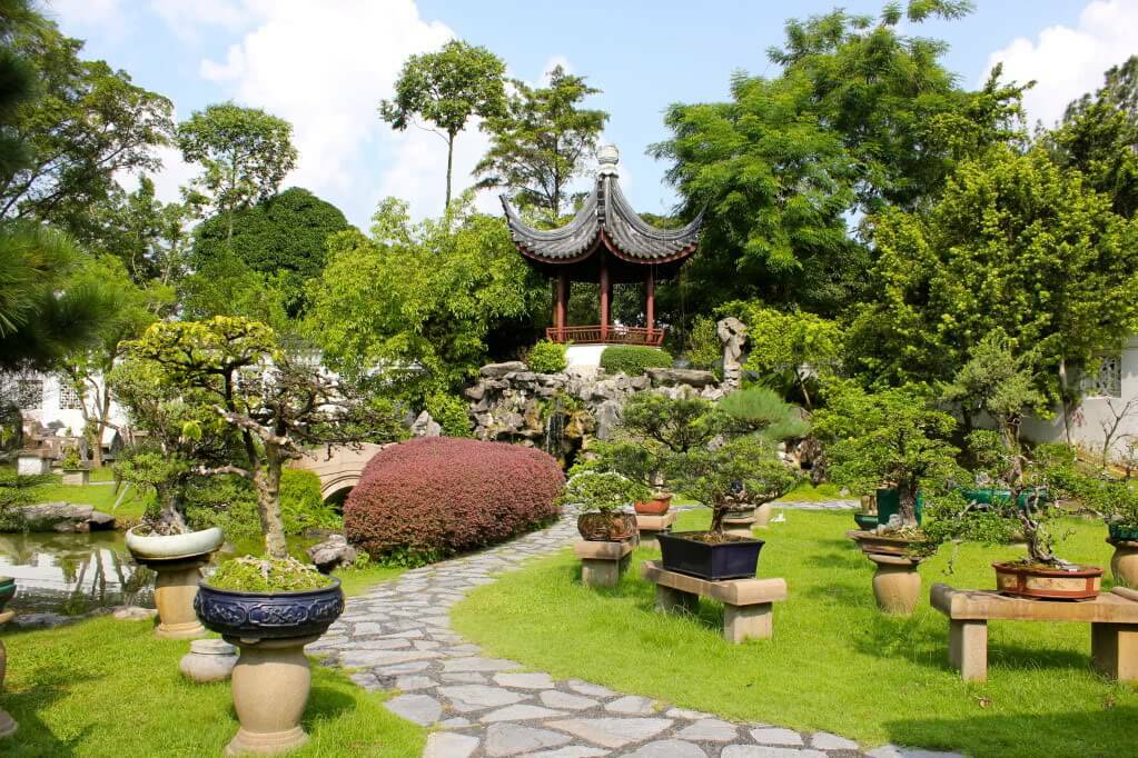 jardin chino