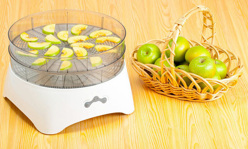 Como escolher um secador elétrico para frutas e legumes