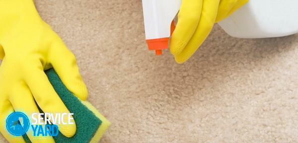 What to clean the carpet at home from dirt and smell?