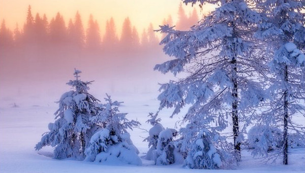 Beste Winterferien - Neujahr in Karelien