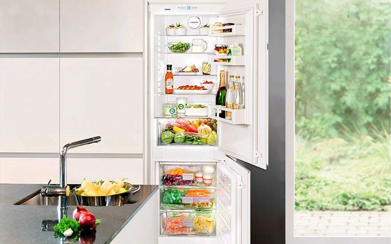 Geriausi šaldytuvai „Atlant“ su funkcija „Know Frost“ - Įvertinimas 2020, kainos, apžvalgos