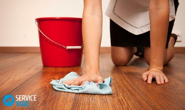 Hvordan fjerne lukten av urinkatt fra gulvet?