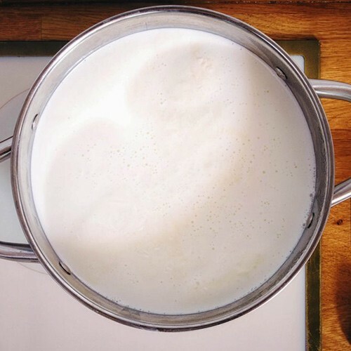 Joghurt herstellen: hausgemachte Rezepte für einen Joghurtbereiter, eine Thermoskanne, einen Multikocher