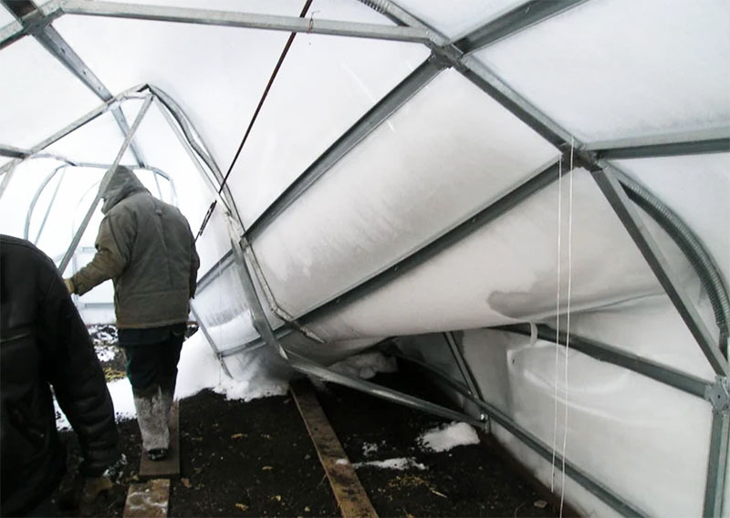 And there are many examples of how people who have invested heavily in the construction of greenhouses are forced to change the coating of their fragile plastic after a couple of years.