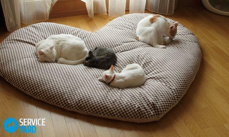 Dječji krevet za svoju mačku