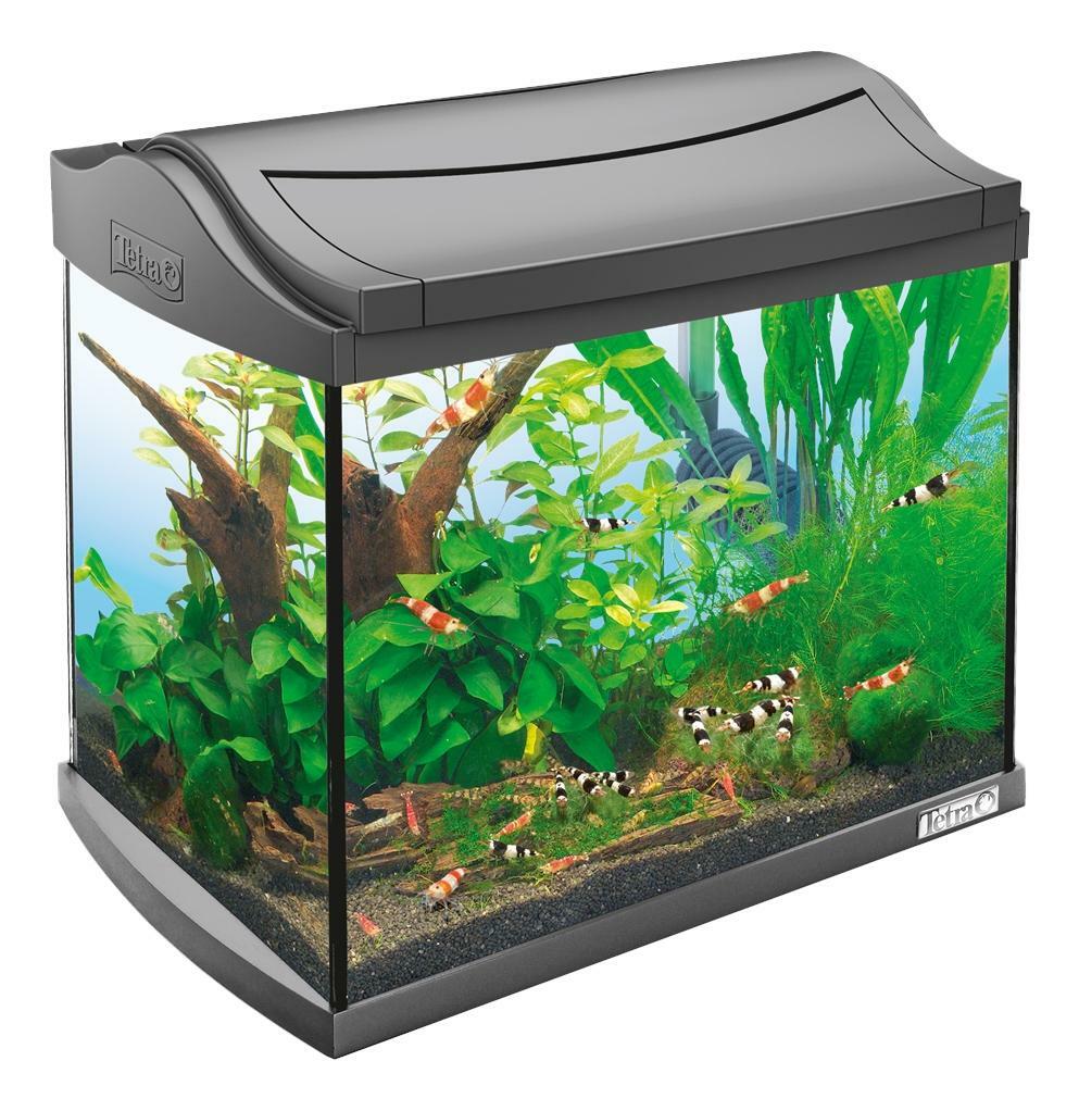 Discover aquarium: prices from 6 430 ₽ buy inexpensively in the online store