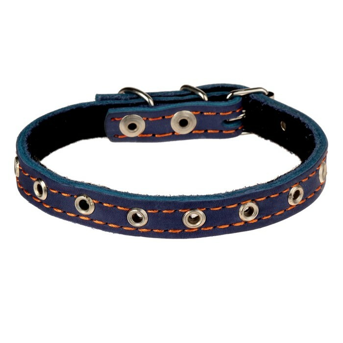 Leather collar with padding polyester, dimensionless, 37 x 1.5 cm, blue