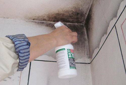 Formovať na stenách v byte: ako sa zbaviť škodlivých húb doma?