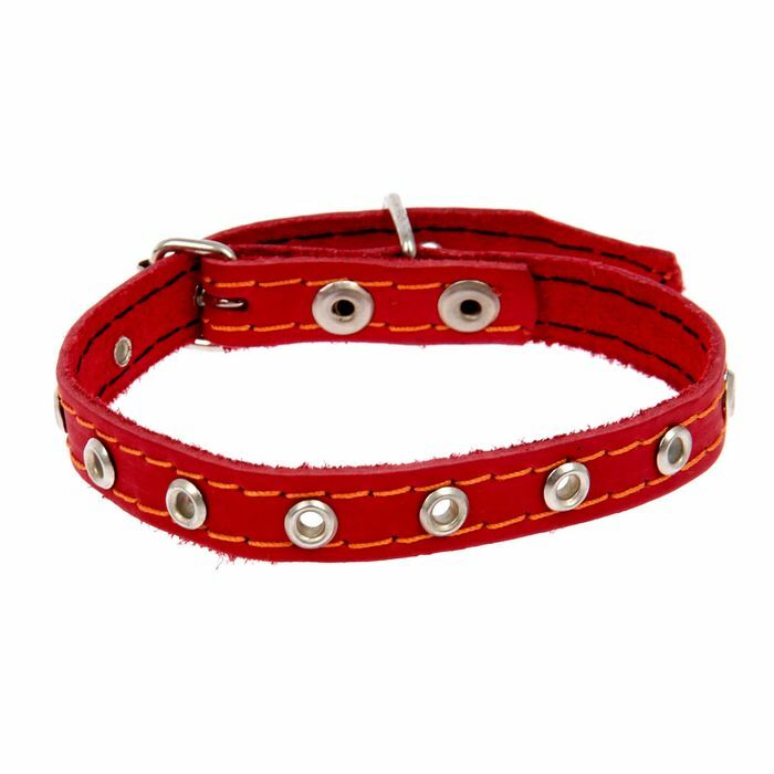 Single-layer leather collar, dimensionless, 36 x 1.5 cm mix of colors