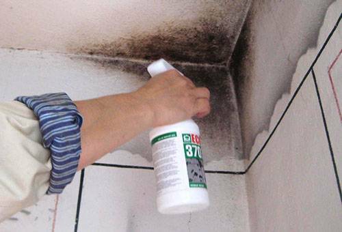 Skimmelsvamp på loftet i badeværelset: hvordan man slippe af en gang for alle?
